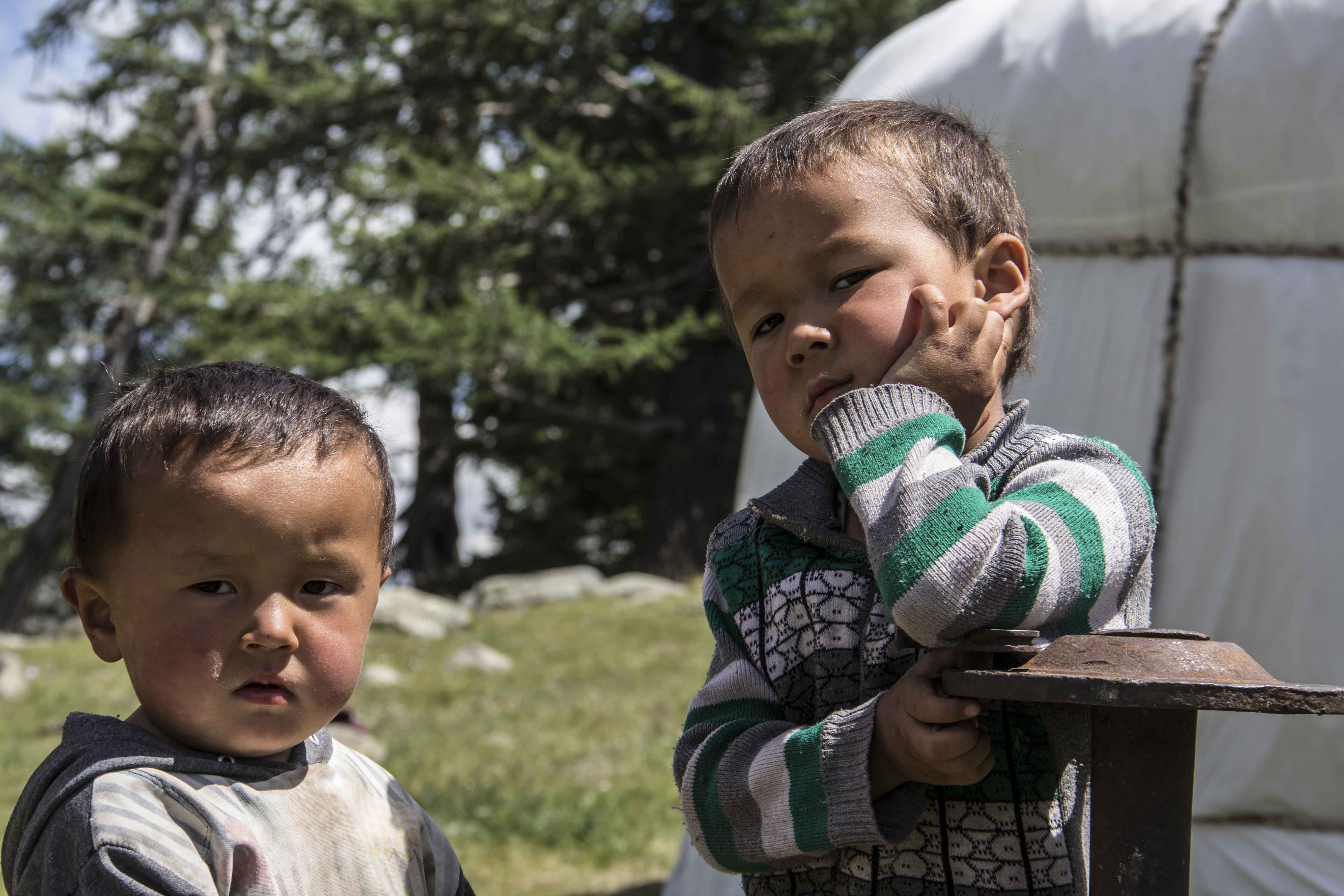 A Life Shaped by Seasons and Survival (Image Credits: Wikimedia)