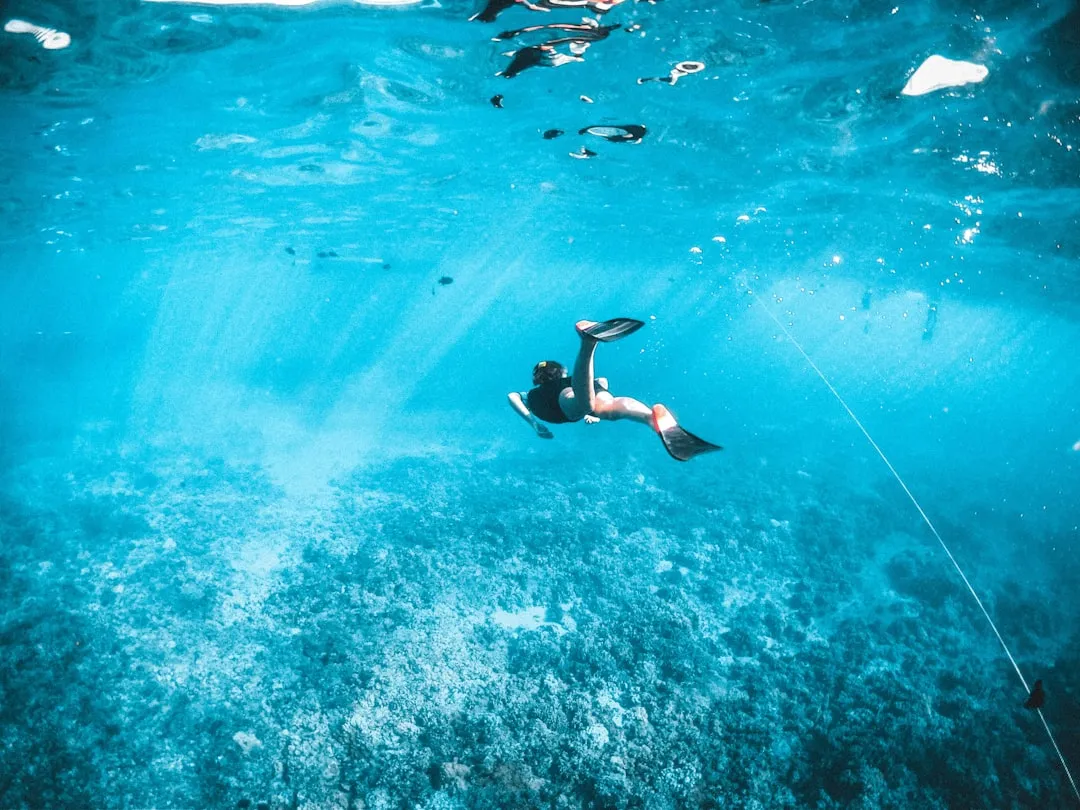 Visibility you can't fake with a filter (Image Credits: Unsplash)