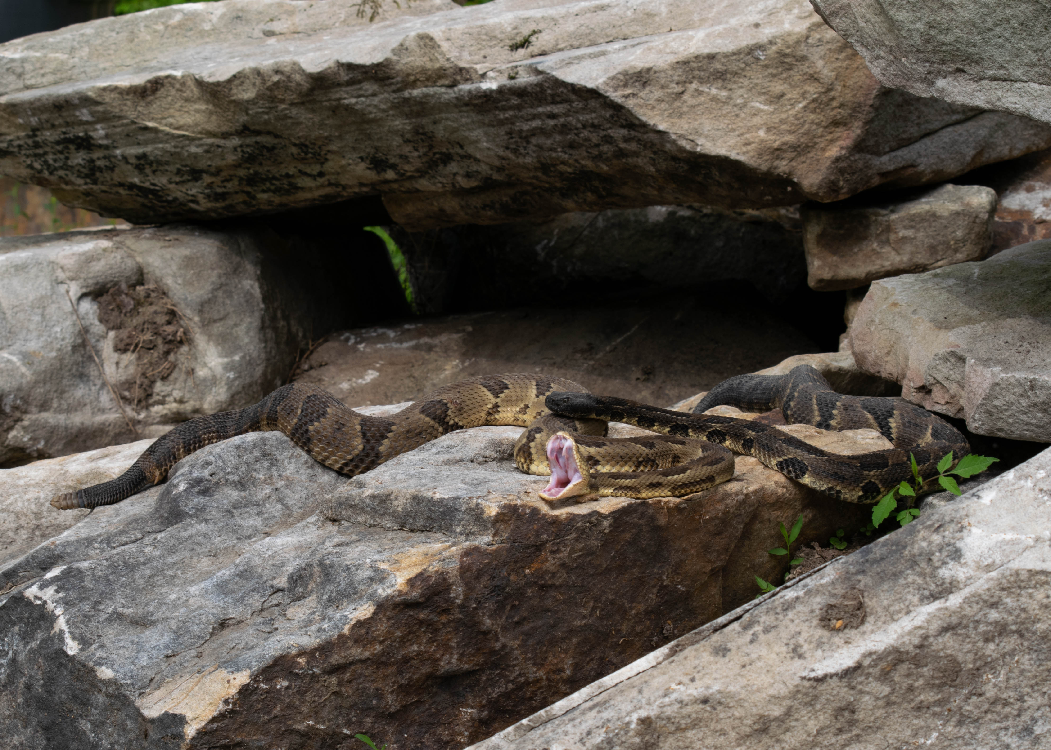 Consider Seasonal and Geographic Factors (Image Credits: Shutterstock)