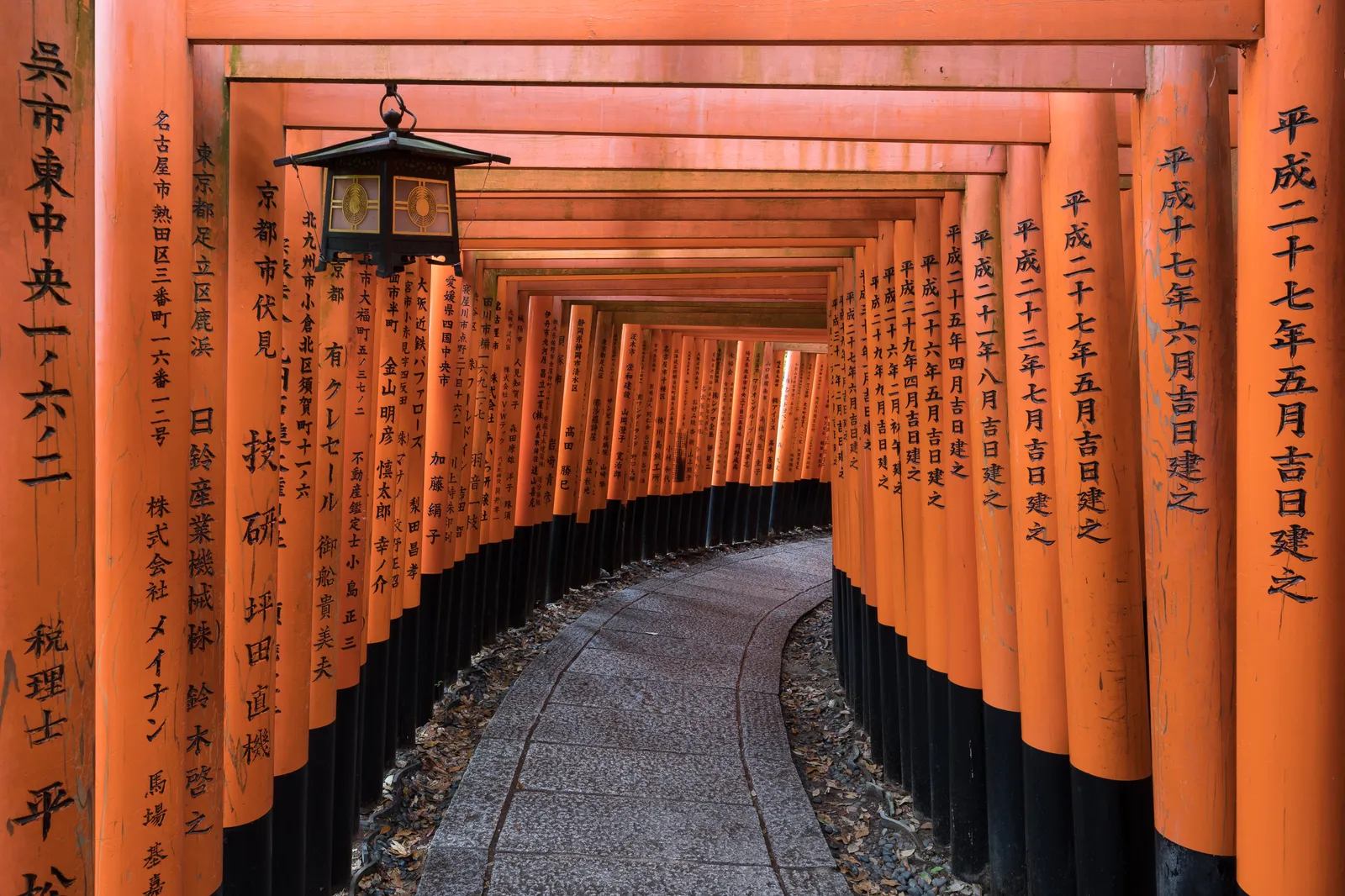 Japan (By Basile Morin, CC BY-SA 4.0)