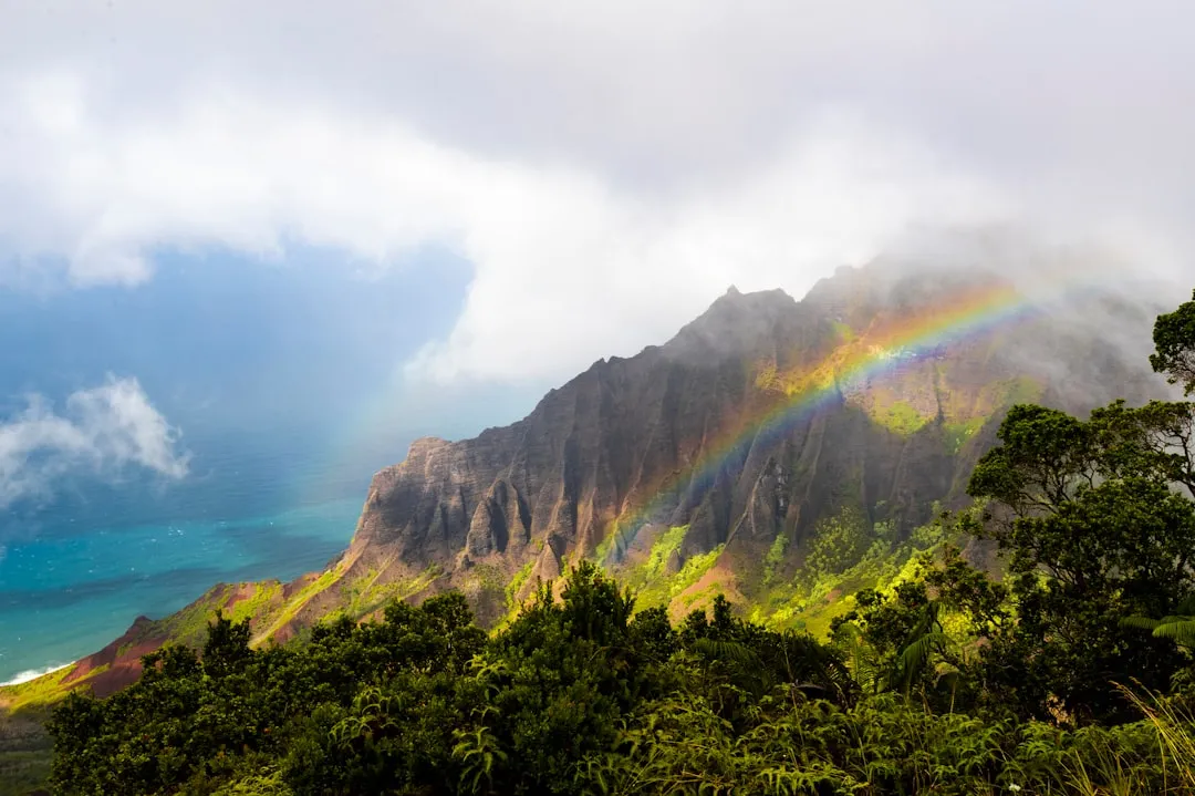 Rainy Season Versus Dry Season, Explained Simply (Image Credits: Unsplash)