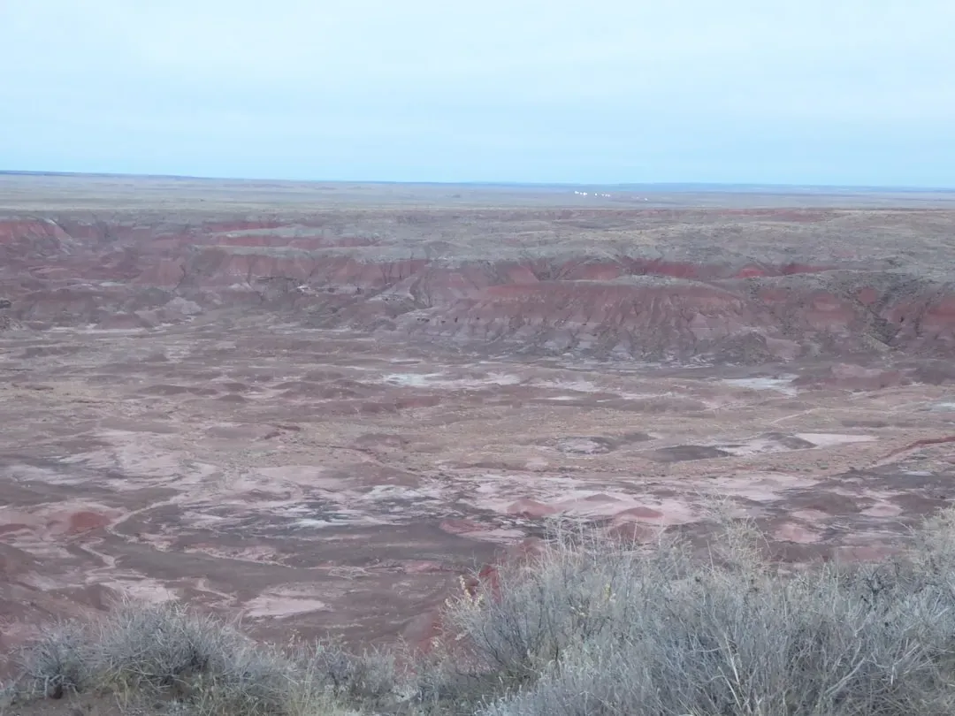 The Future of Empty Parks (Image Credits: Unsplash)