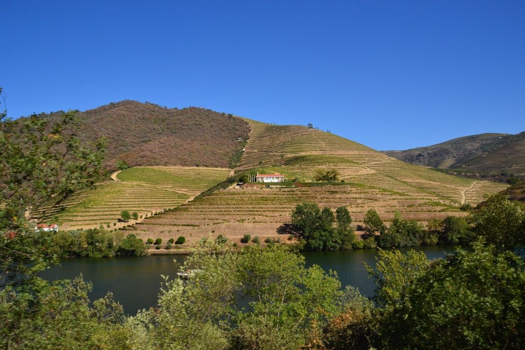The Vipava Valley in Slovenia (Image Credits: Unsplash)