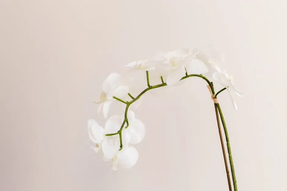 #2 - Use Keiki Paste to Force a Dormant Node Back to Life (Image Credits: Pexels)