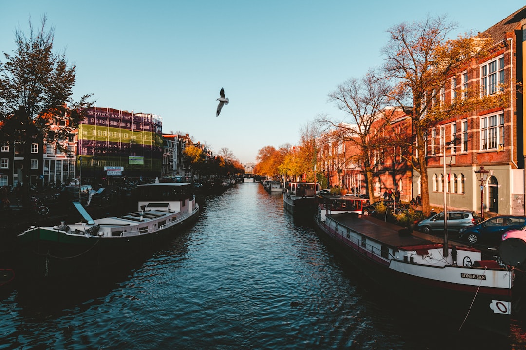 Netherlands: Progressive Living at Its Finest (Image Credits: Unsplash)
