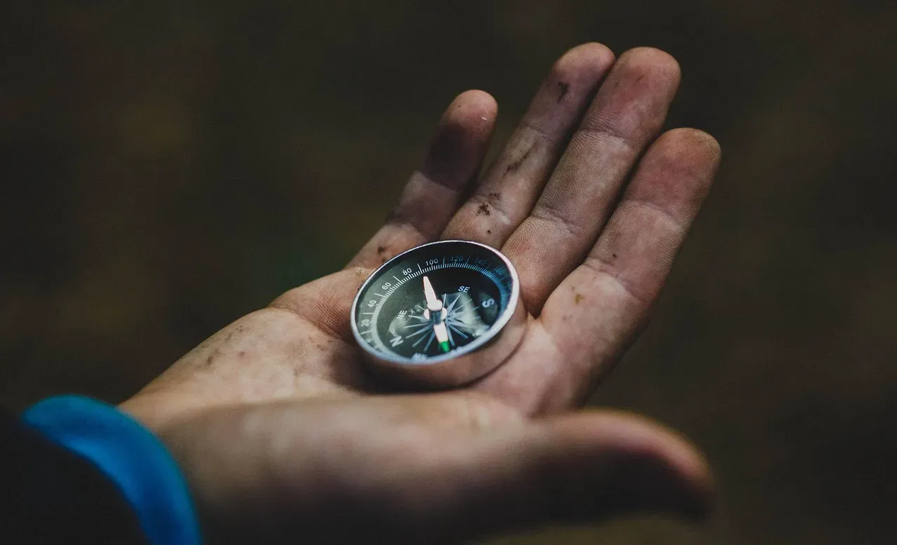 What Psychology Suggests About Breaking the Pattern (Image Credits: Pixabay)