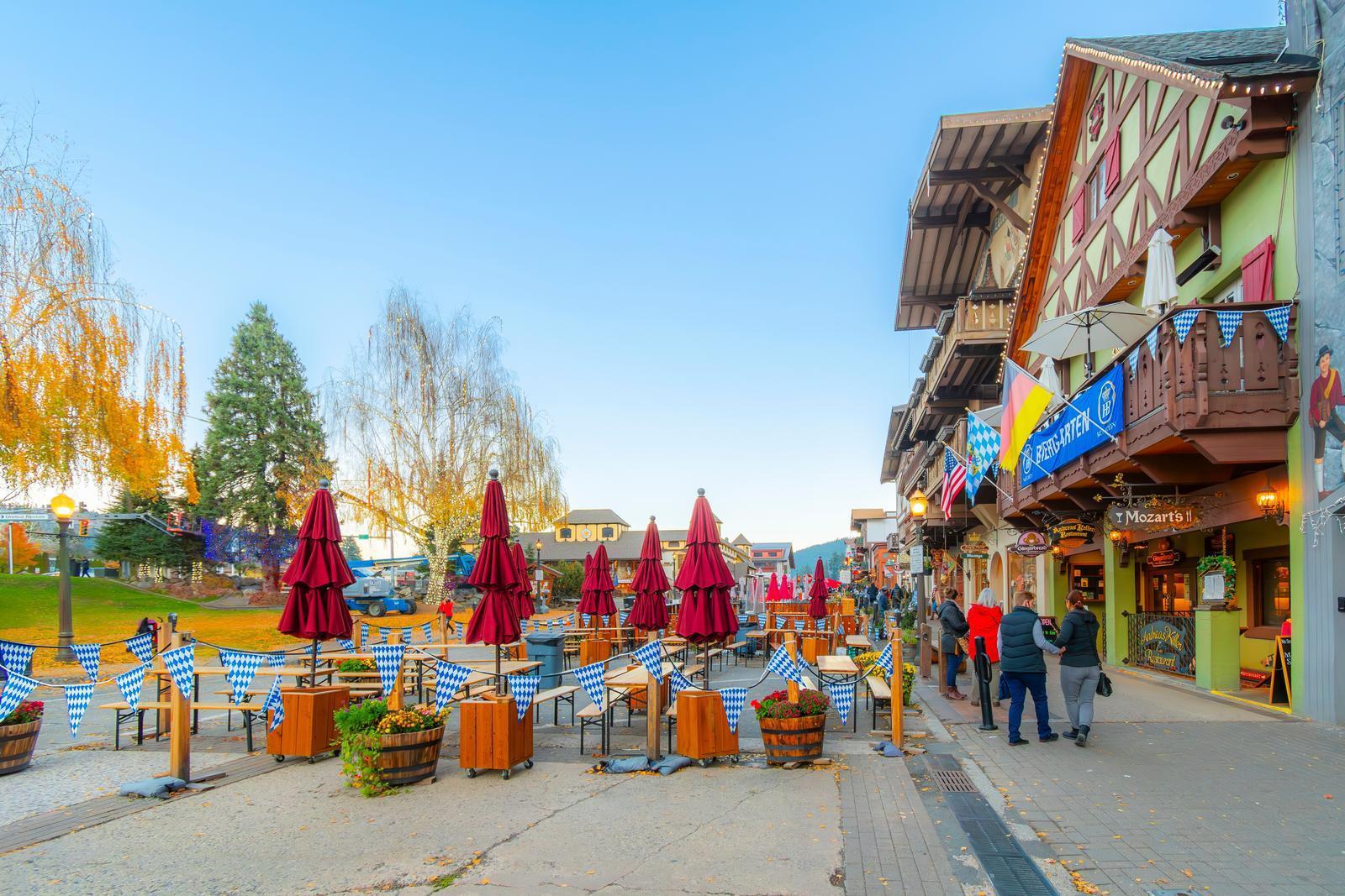 Bavarian Flavors and Festive Foods (Image Credits: Shutterstock)