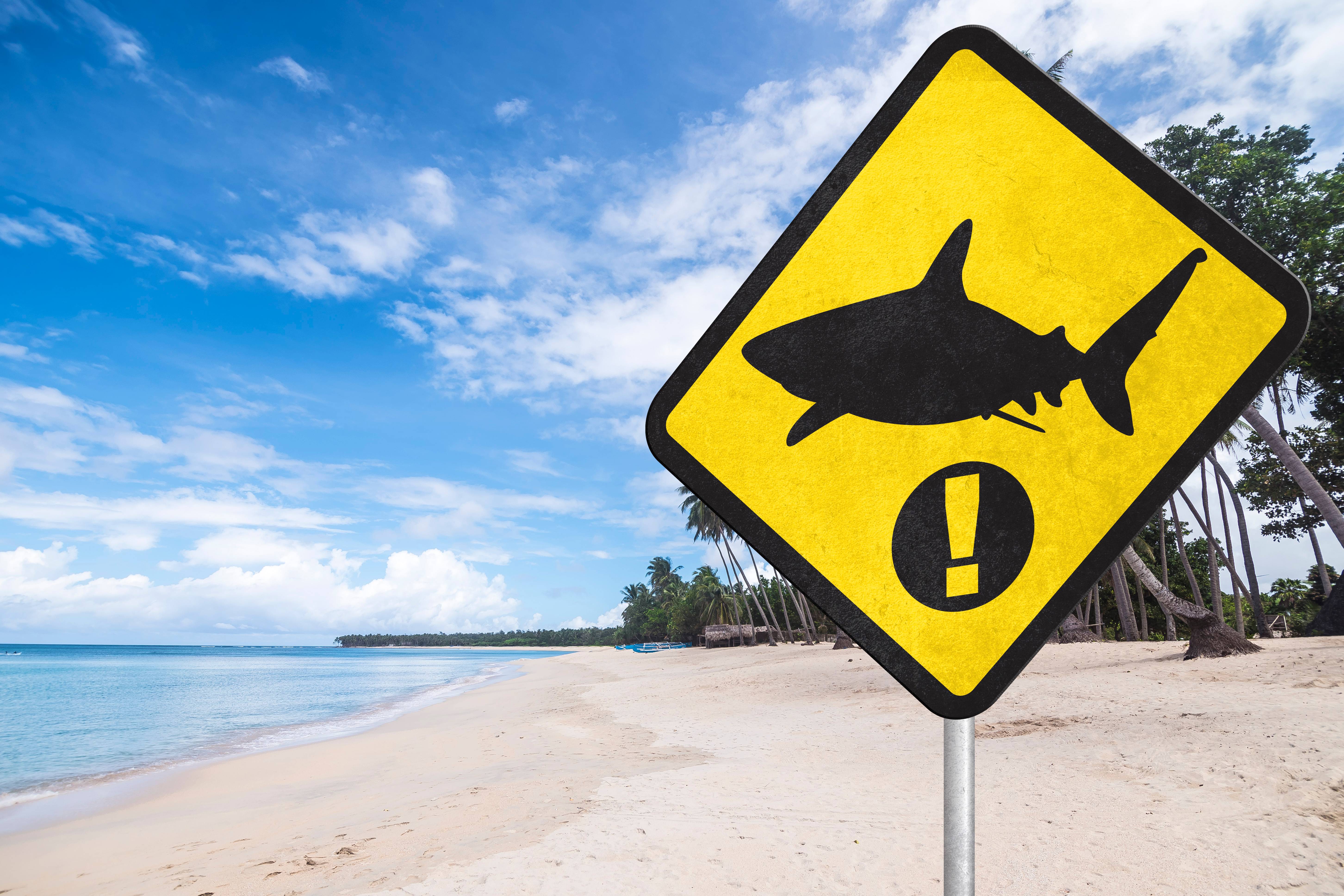 Hawaii: Pacific Island Encounters (Image Credits: Shutterstock)