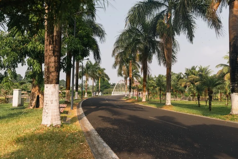 Equatorial Guinea (Image Credits: Pexels)