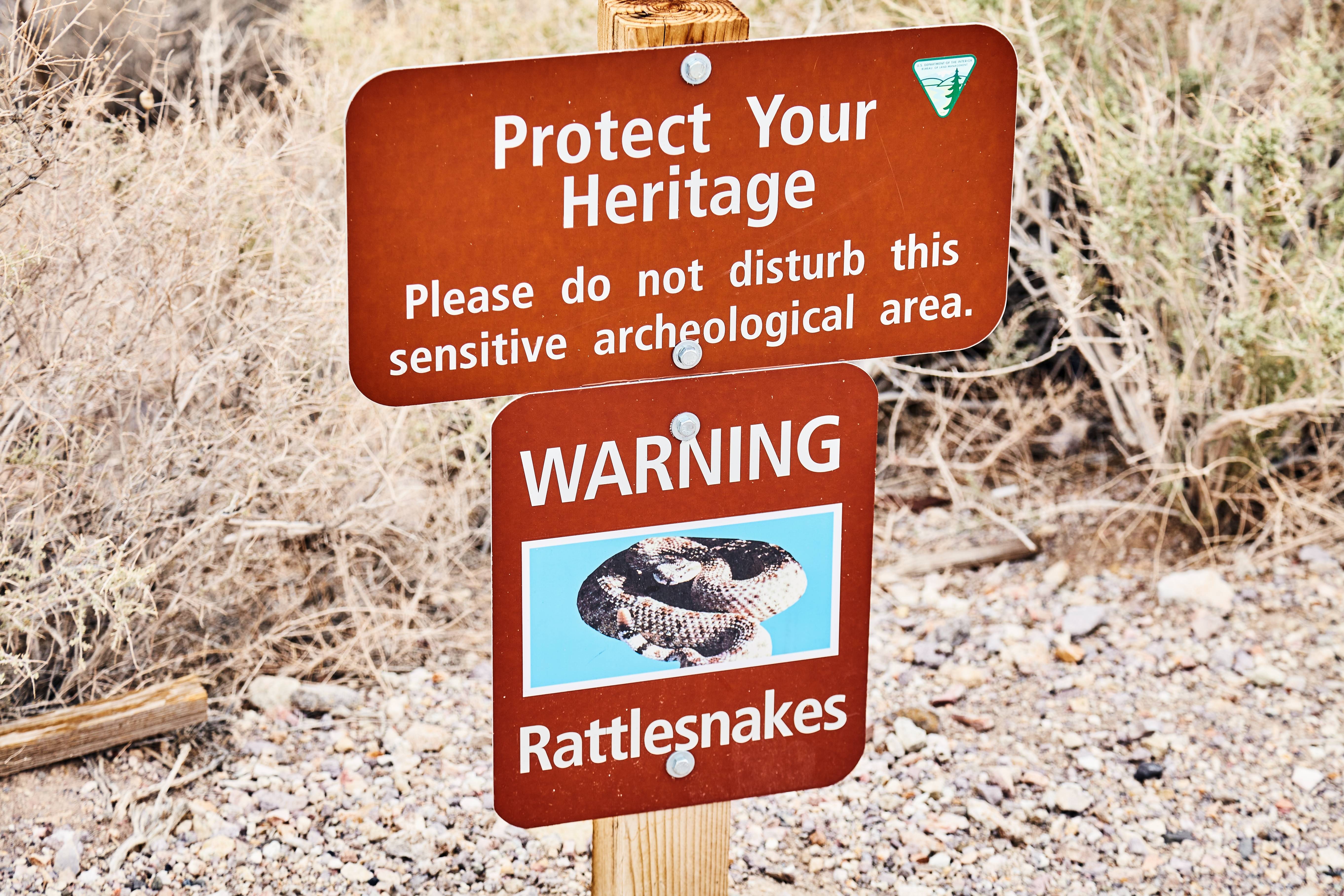 Recognize Their Warning System (Image Credits: Shutterstock)