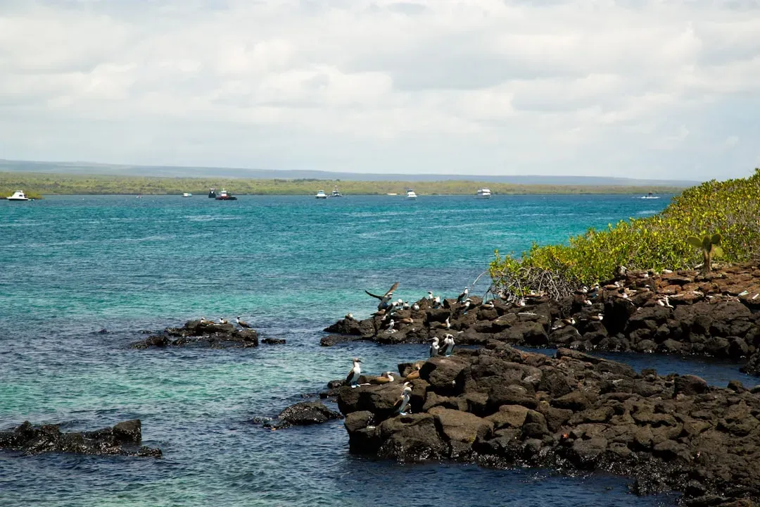 Expedition Cruise 1: Lindblad Expeditions to the Galápagos Islands (Image Credits: Unsplash)