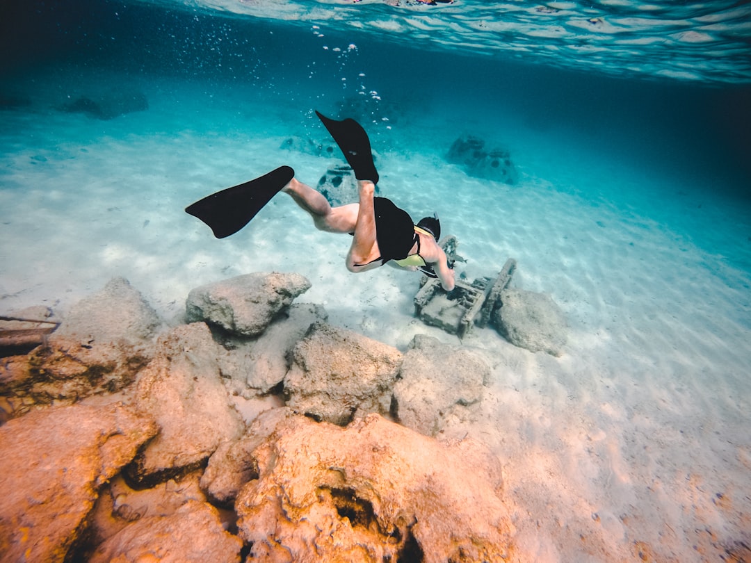 Cayman Islands: The Underwater Wonderland (Image Credits: Unsplash)