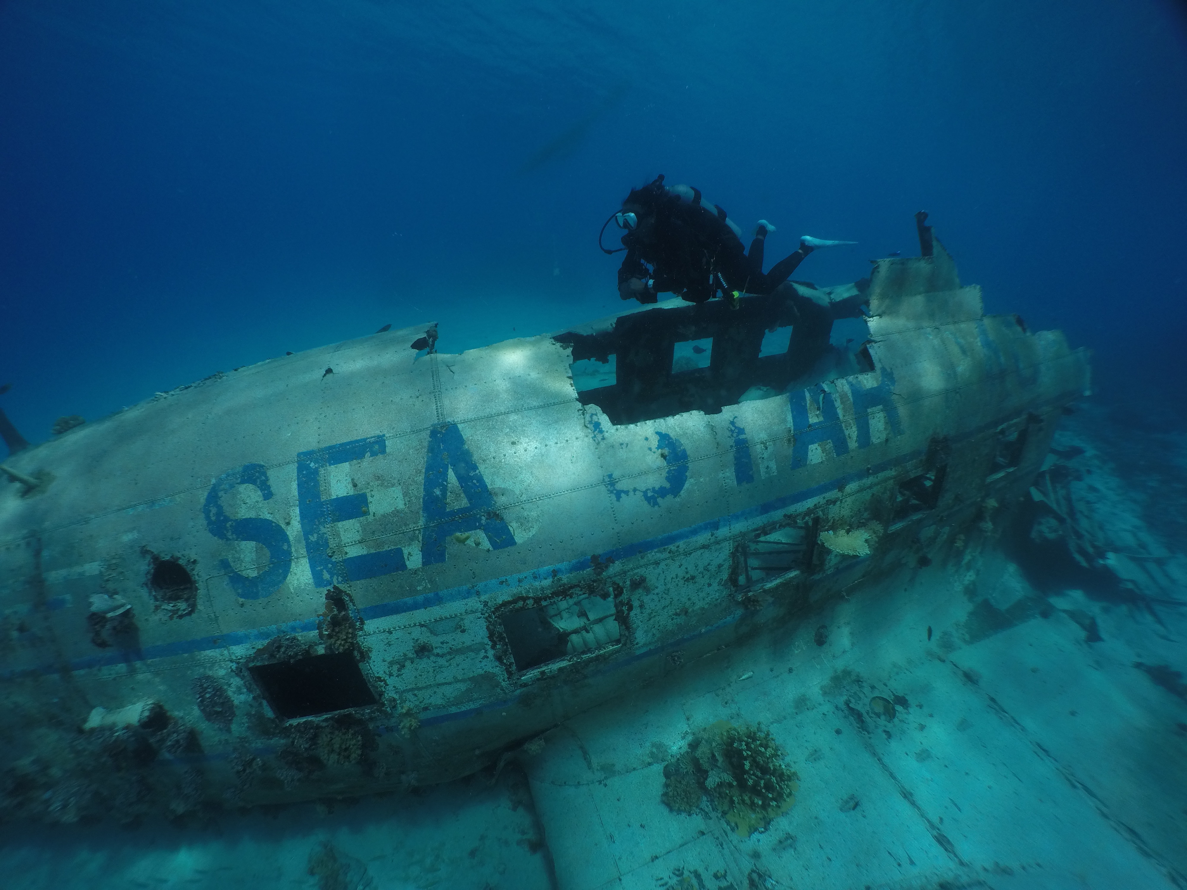 Marshall Islands - World War II Wreck Diving (Image Credits: Shutterstock)