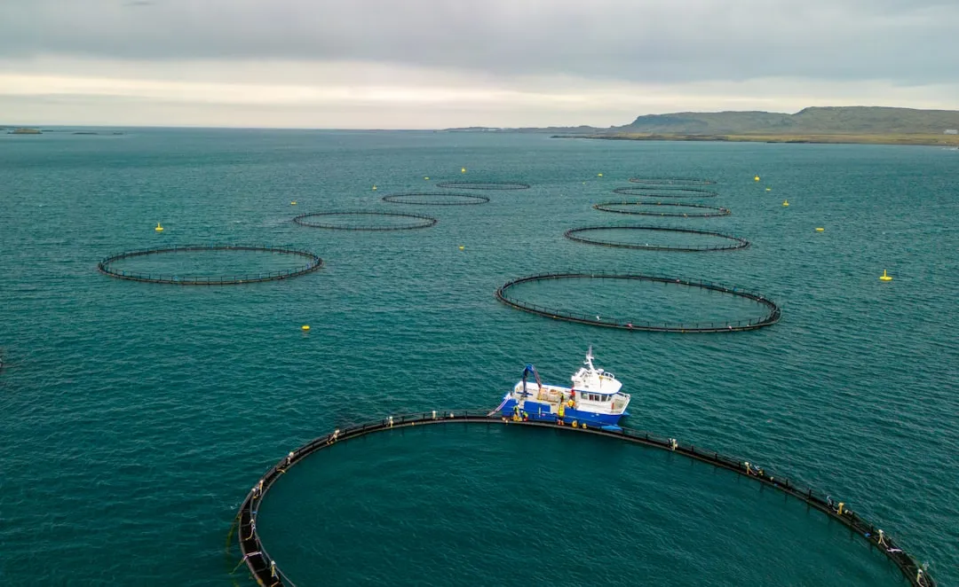 Why Aquaculture Overtook Wild Catch (Image Credits: Unsplash)