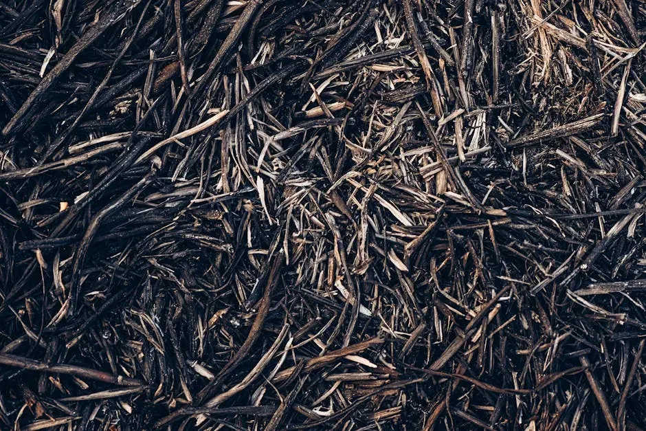 #15 - Choose Triple-Shred Over Single-Shred for Tighter Weed Suppression (Image Credits: Pexels)