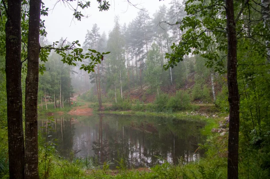 Finland: forest-filtered groundwater from thousands of lakes (Image Credits: Pexels)