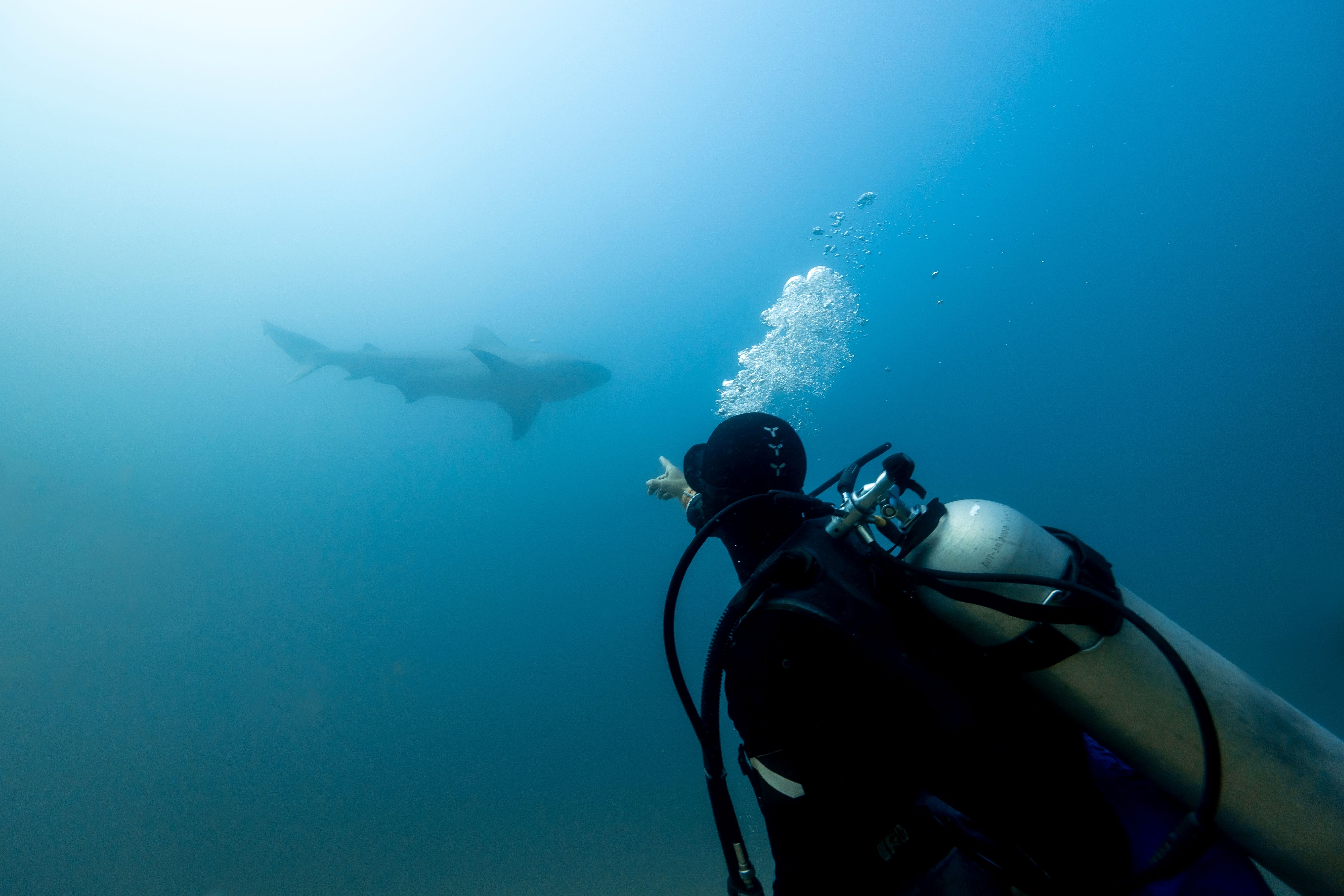 California: West Coast Realities (Image Credits: Shutterstock)