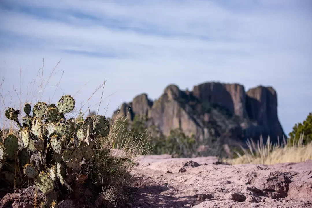 2. Lost Mine Trail - Big Bend National Park, Texas (Image Credits: Unsplash)