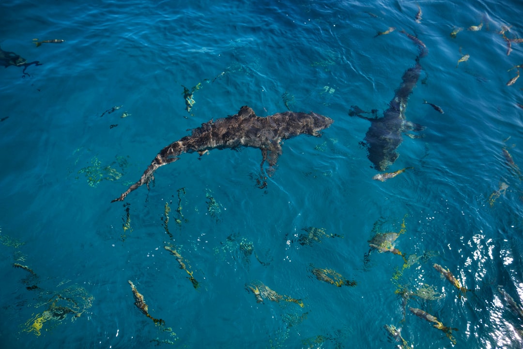 Mexico: Occupational and Tourism Risks (Image Credits: Unsplash)