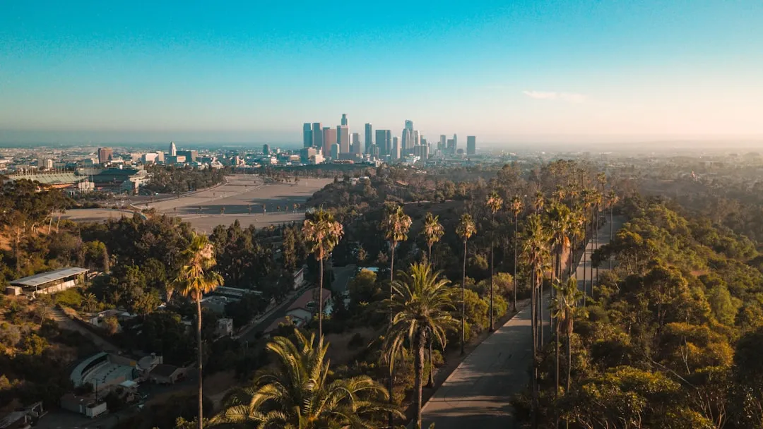 2. Los Angeles, California (Image Credits: Unsplash)