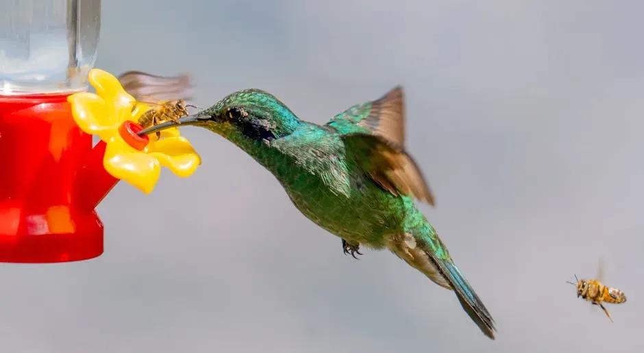 #4 - A Feeder Covered in Yellow Decorations (Image Credits: Pexels)