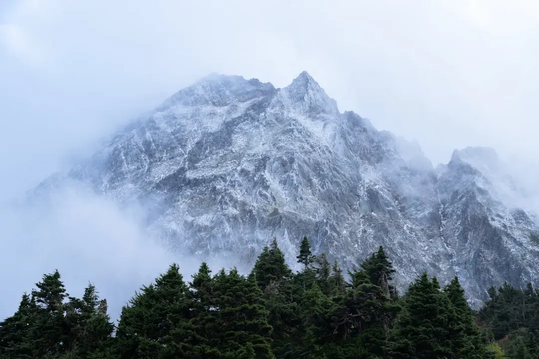 Conclusion: The Solitude Is Still There. You Just Have to Earn It. (Image Credits: Unsplash)