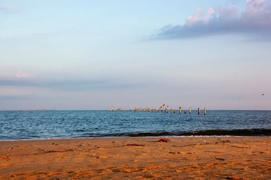 7. Virginia Beach, Virginia - 38 Miles of Coast at a Price That Surprises Everyone (Image Credits: Unsplash)
