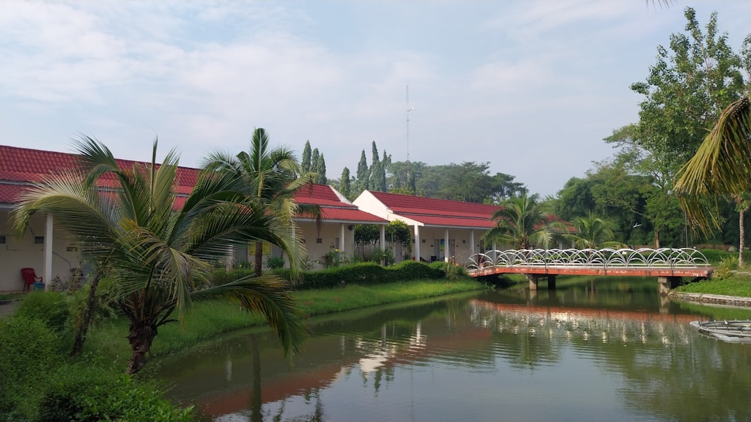 Ignoring The Daily Activity Schedule (Image Credits: Unsplash)