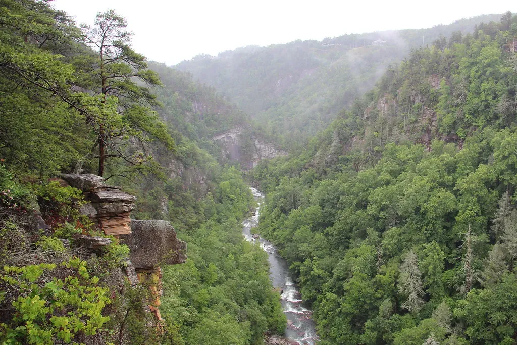 Tallulah Gorge, Georgia: The East Coast's Best-Kept Geological Secret (Image Credits: Flickr)