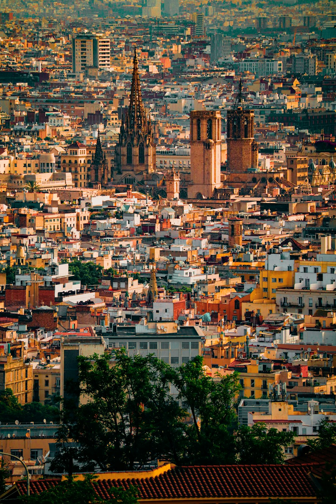 Spain: The Rising Mediterranean Star (image credits: unsplash)