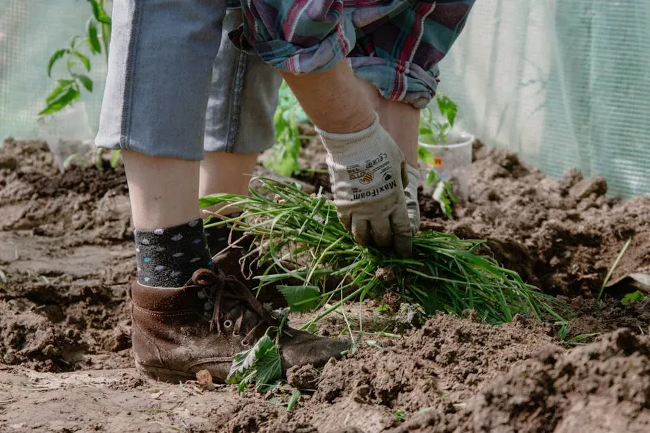 #18 - Always Weed the Bed First, Then Mulch Over Clean Ground (Image Credits: Pexels)