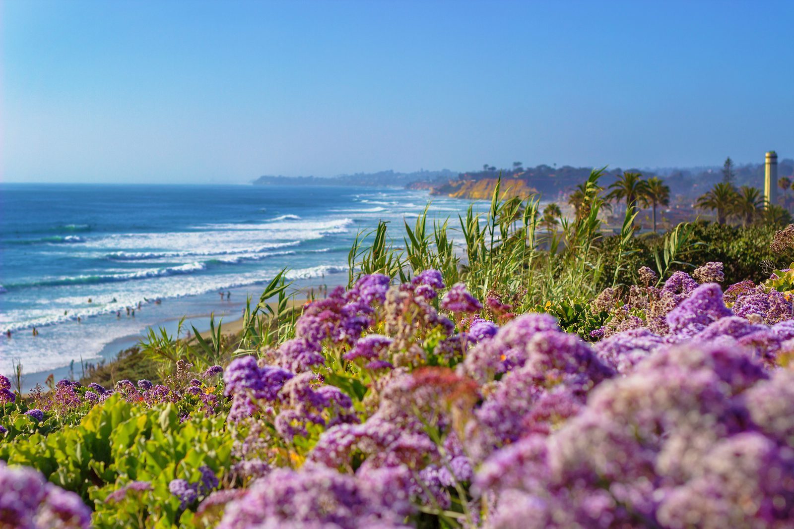 Looking at the Future (Image Credits: Shutterstock)