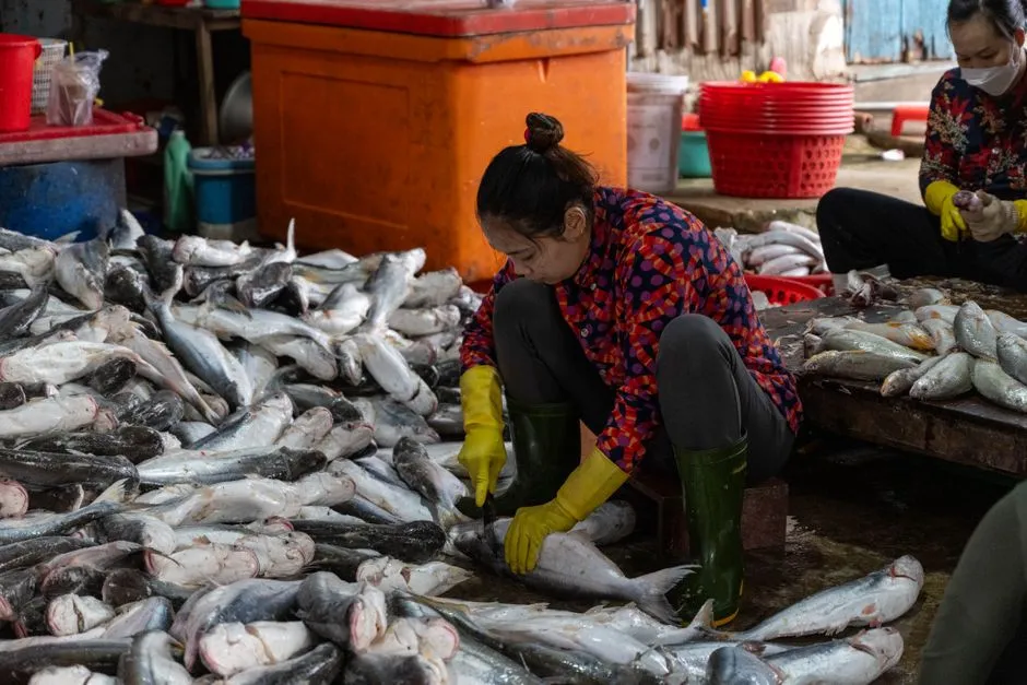 Feeding People and Sustaining Livelihoods (Image Credits: Pexels)