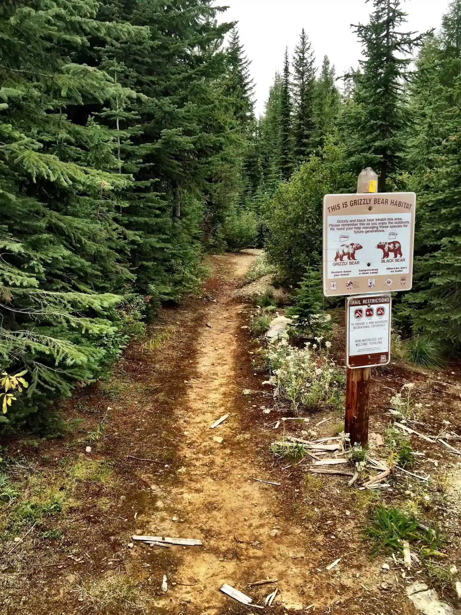 Why Locals Stay Silent (Image Credits: Wikimedia)