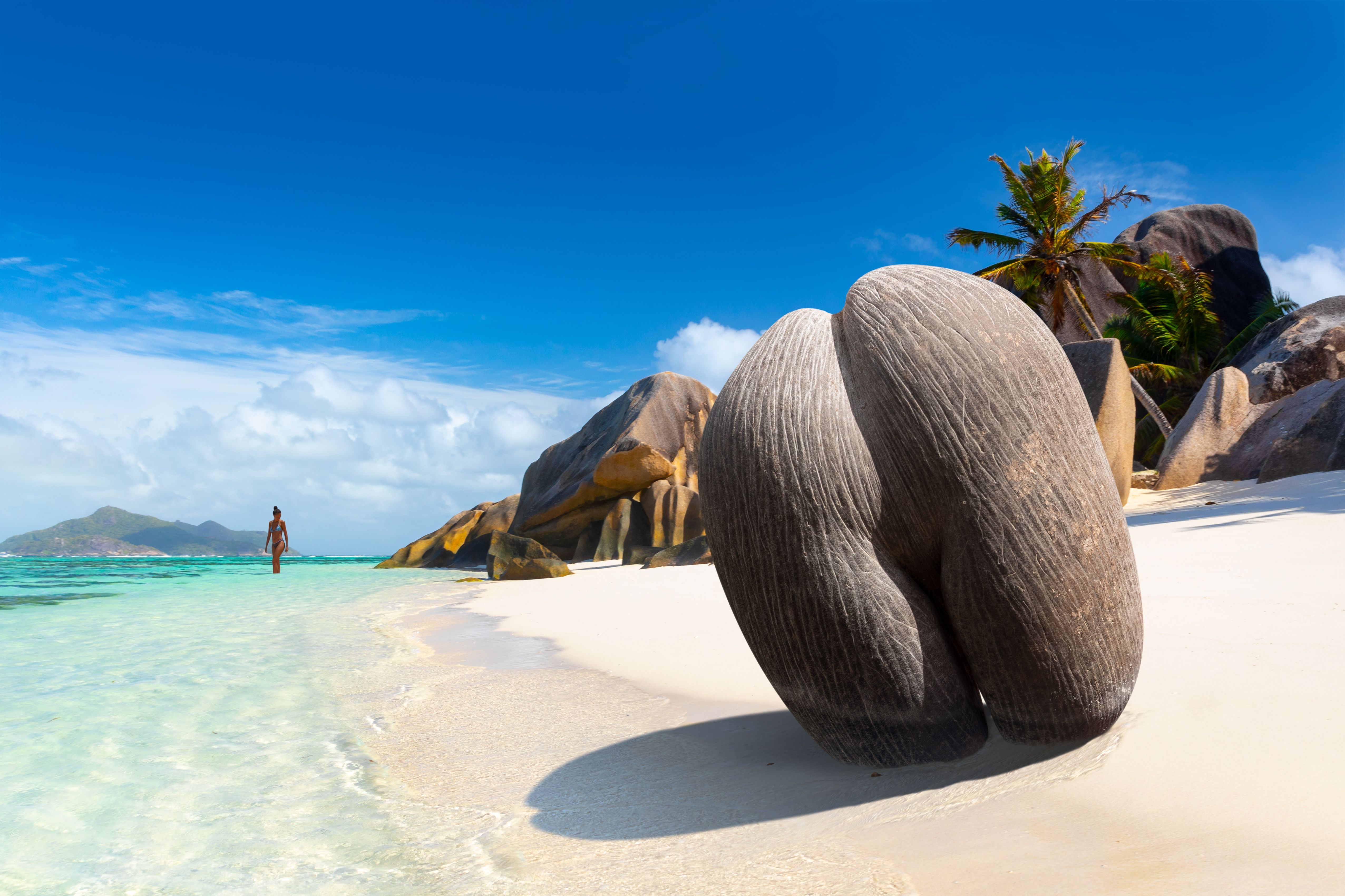 Seychelles - Coco de Mer Forest Trekking (Image Credits: Shutterstock)