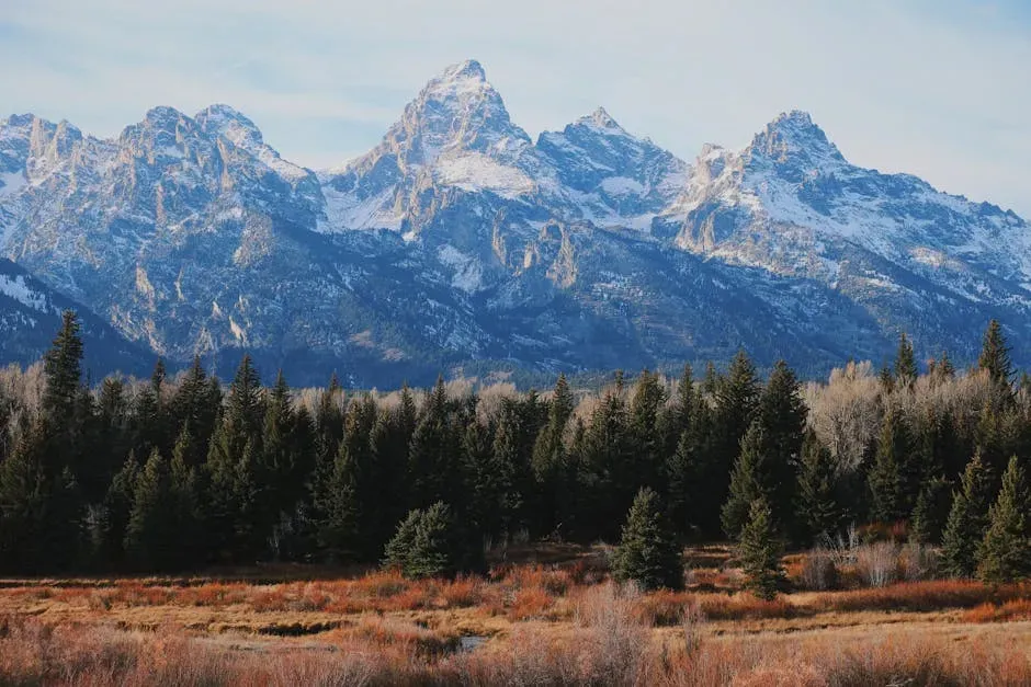 4. Grand Teton National Park: Yellowstone's Neighbor That Quietly Steals the Show (Image Credits: Pexels)
