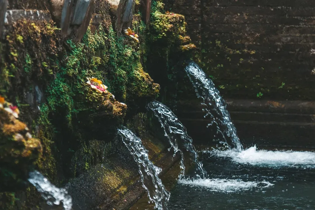 Bali Is Literally Running Out of Water (Image Credits: Unsplash)