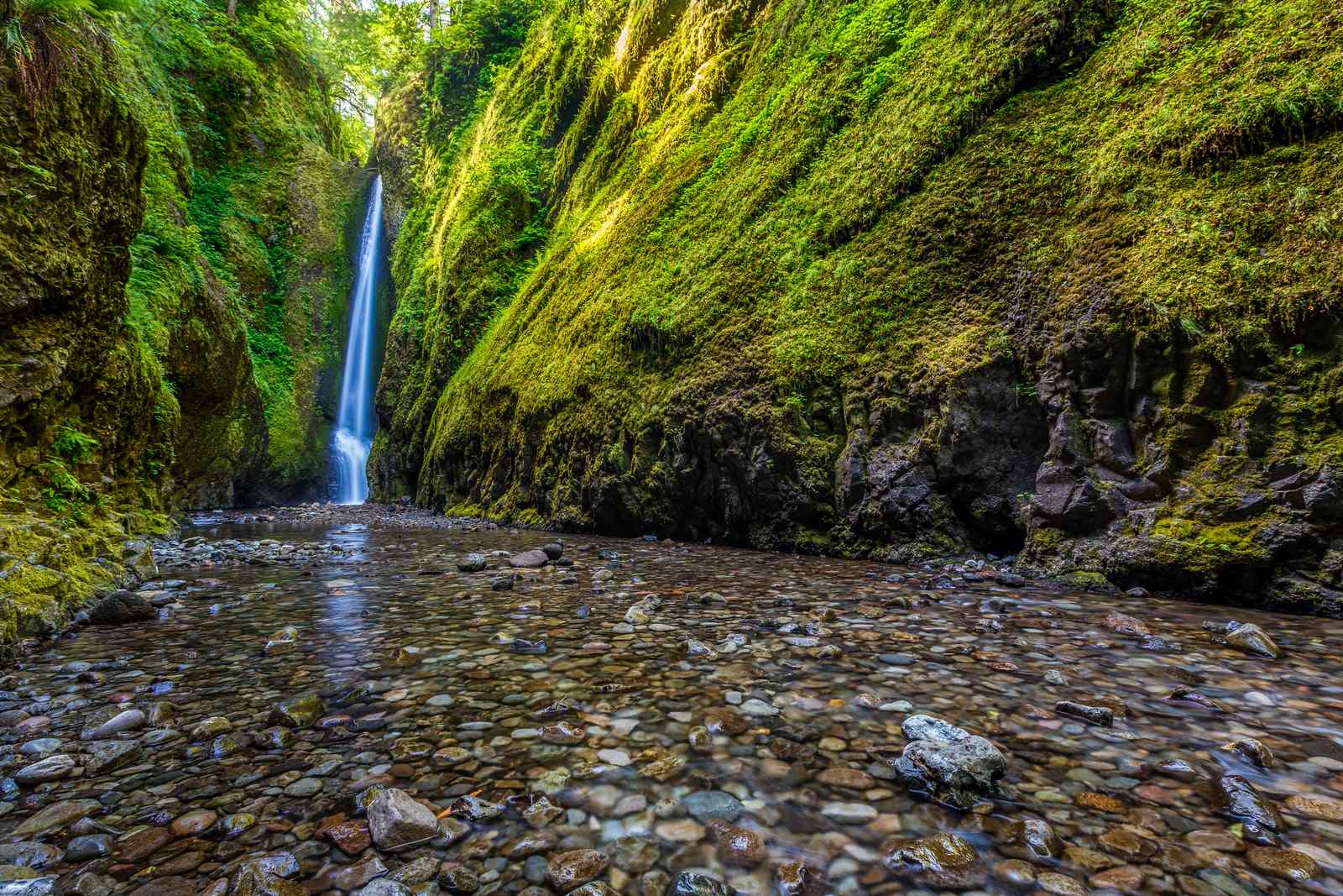 Oregon's Hidden Oneonta Gorge (Image Credits: Shutterstock)