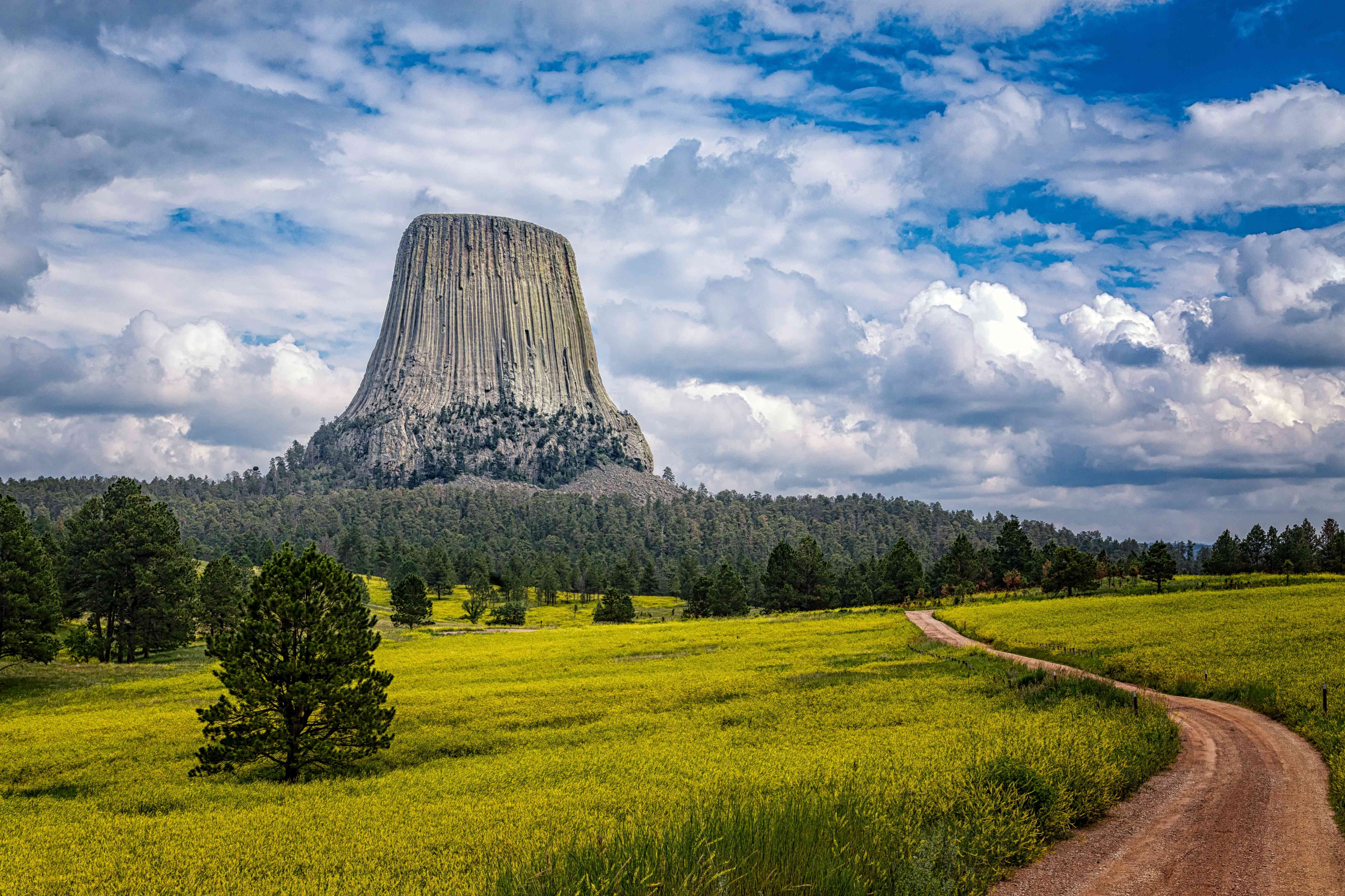 Devils Tower National Monument, Wyoming (Image Credits: Shutterstock)