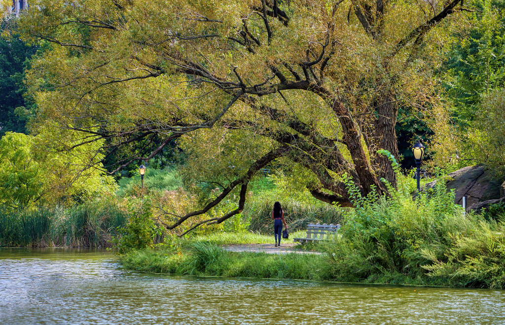 Relax in Urban Parks and Gardens (Image Credits: Flickr)