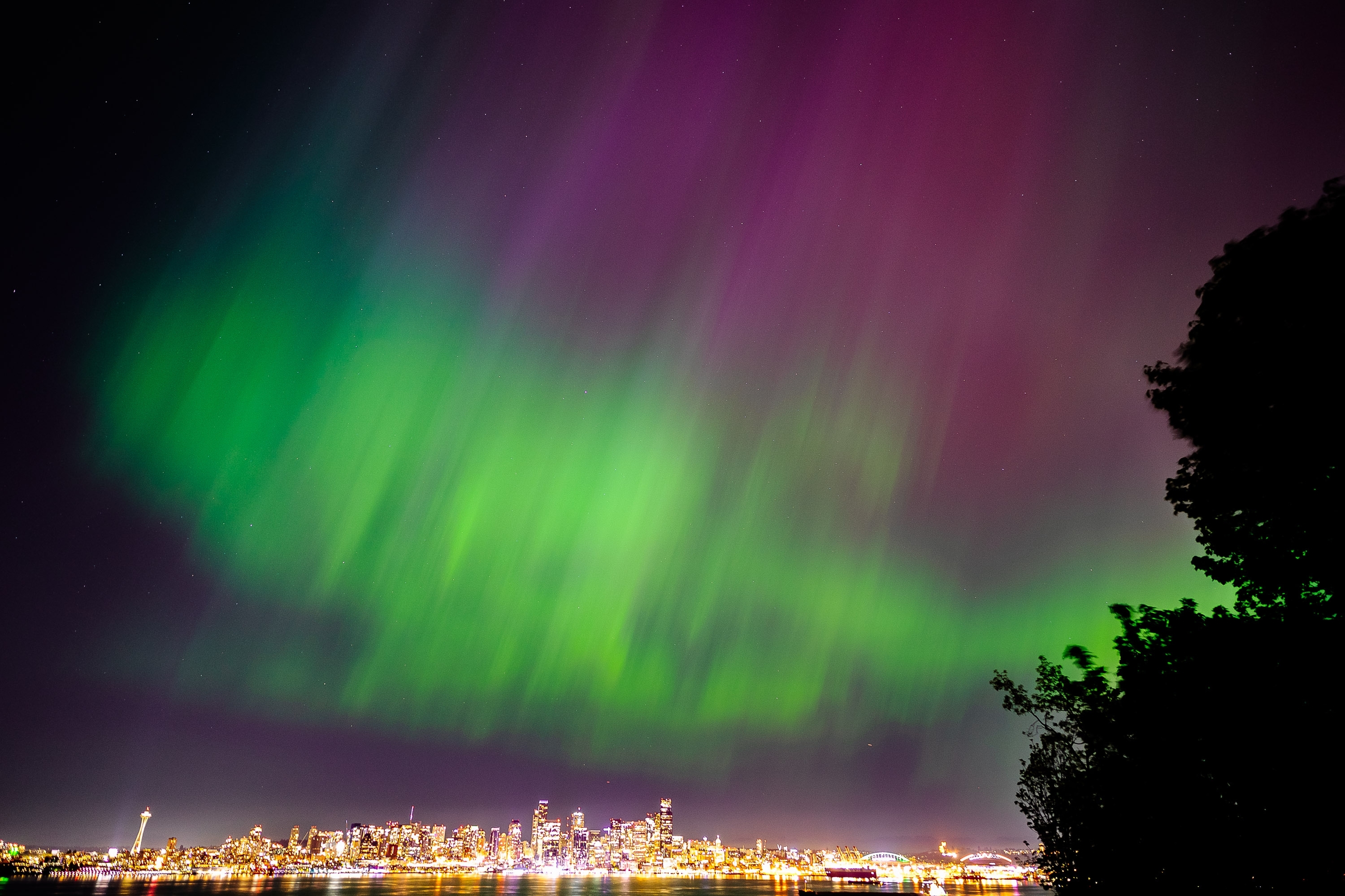 Washington State: Pacific Northwest Aurora Surprise (Image Credits: Shutterstock)