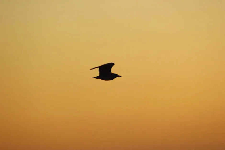 The Smart Takeaway: When to Book and When to Fly (Image Credits: Pexels)