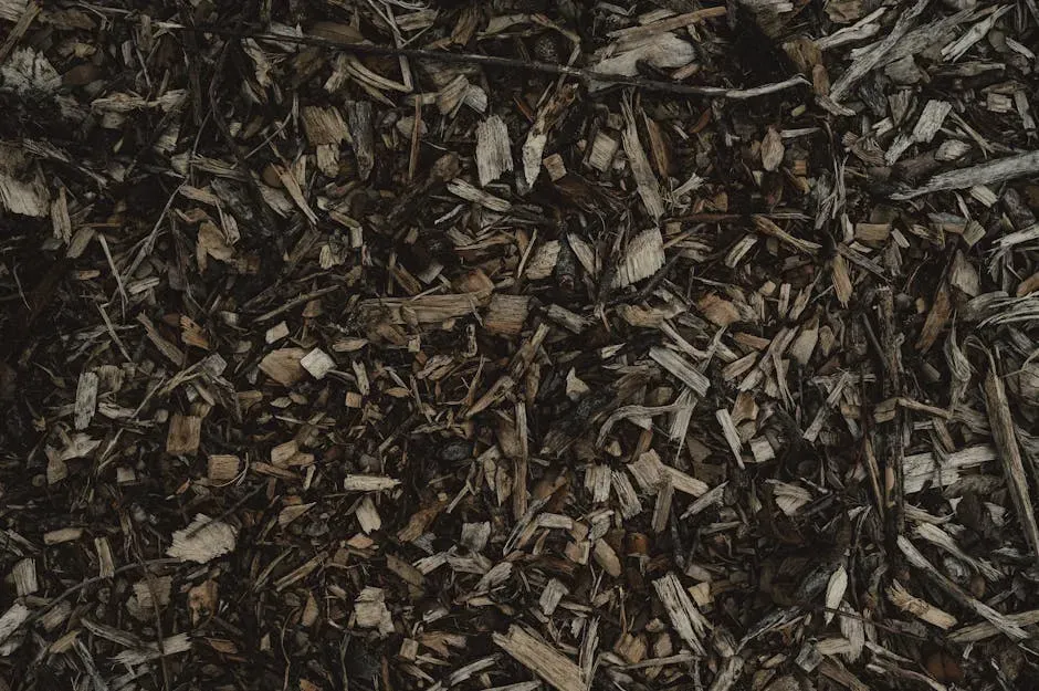 #9 - Mulch Does Five Jobs at Once, and Most Gardeners Only Know One (Image Credits: Pexels)