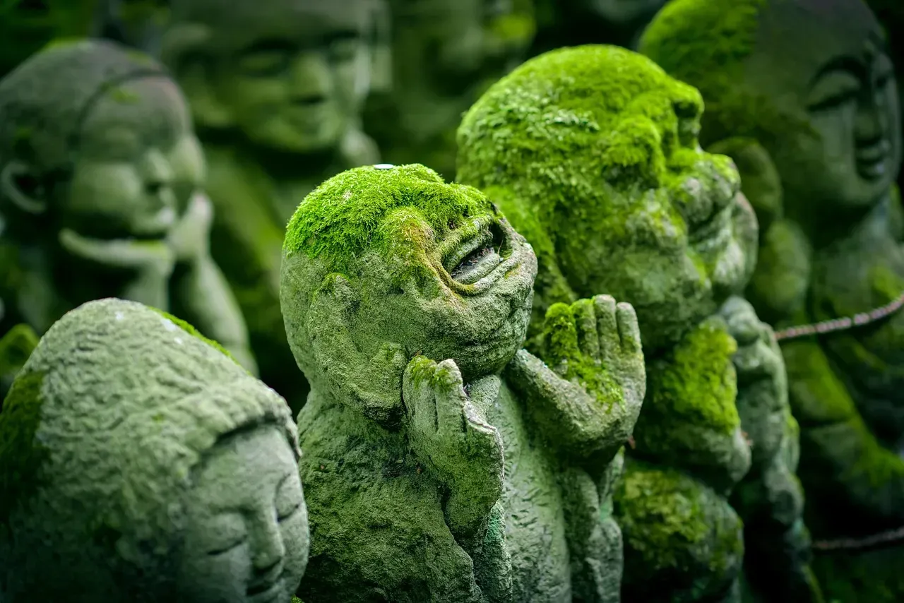 The Hidden Bonus: Kyoto's Moss Gardens Come Alive (Image Credits: Pixabay)