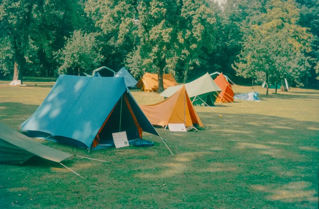 #7: Camping at National Parks Was the Middle-Class Vacation of Choice (Image Credits: Unsplash)