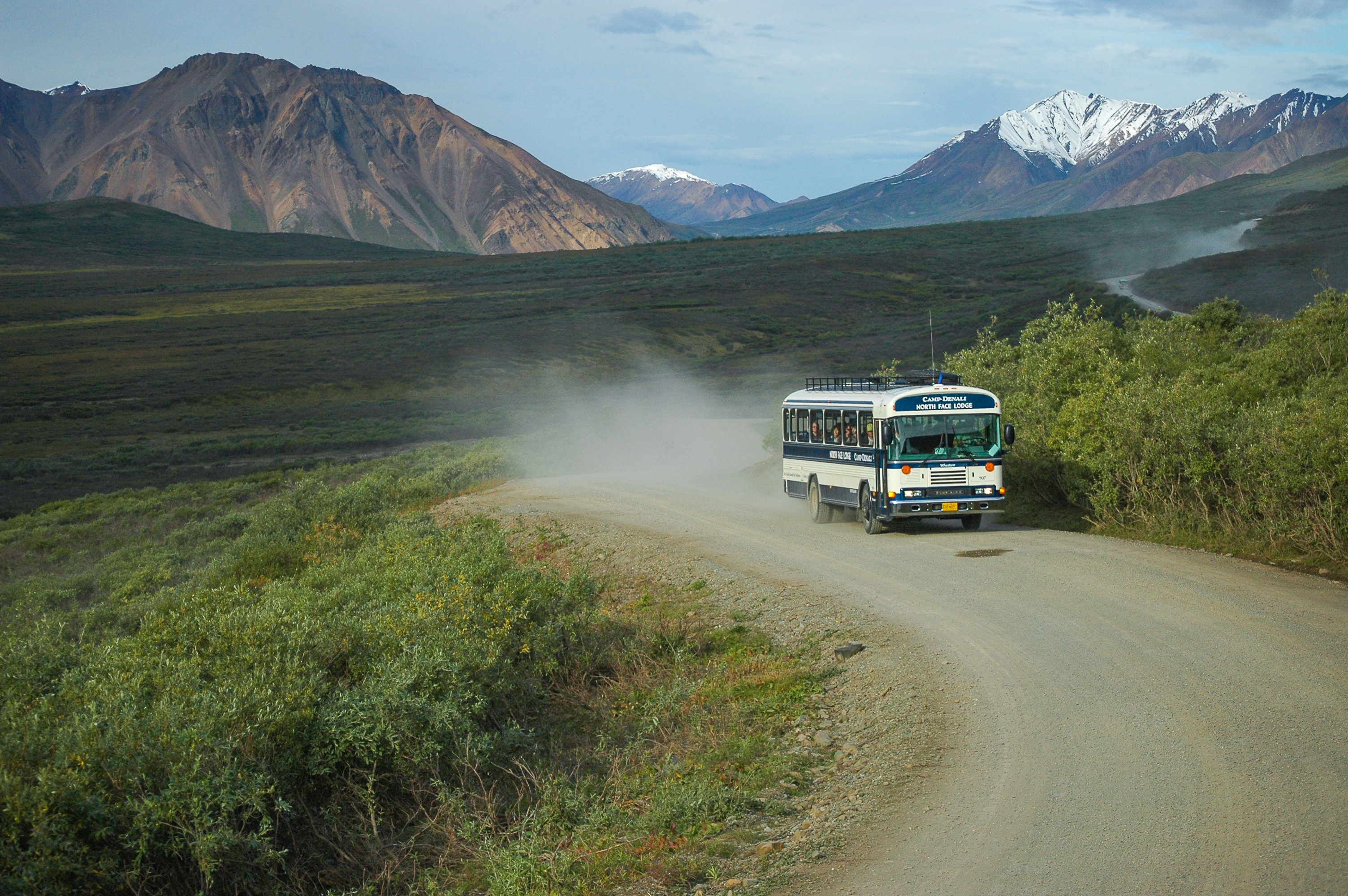 Denali National Park: The Ultimate Wilderness Transit (Image Credits: Shutterstock)