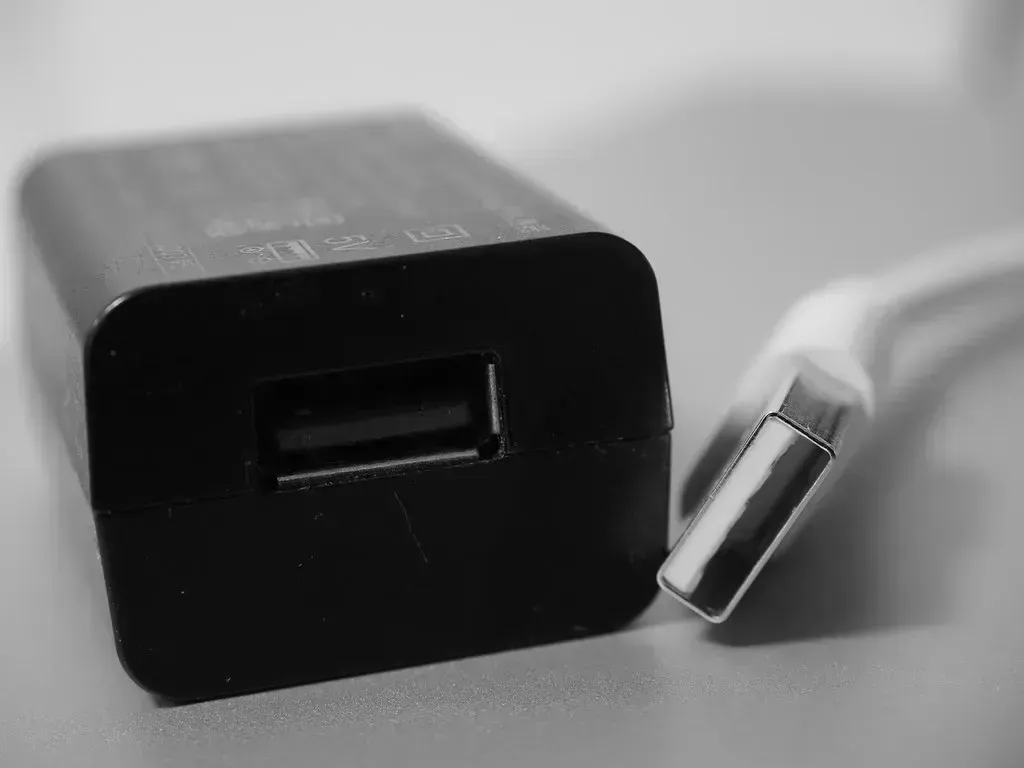 The Adapter Versus Converter Confusion Could Fry Your Electronics (Image Credits: Flickr)