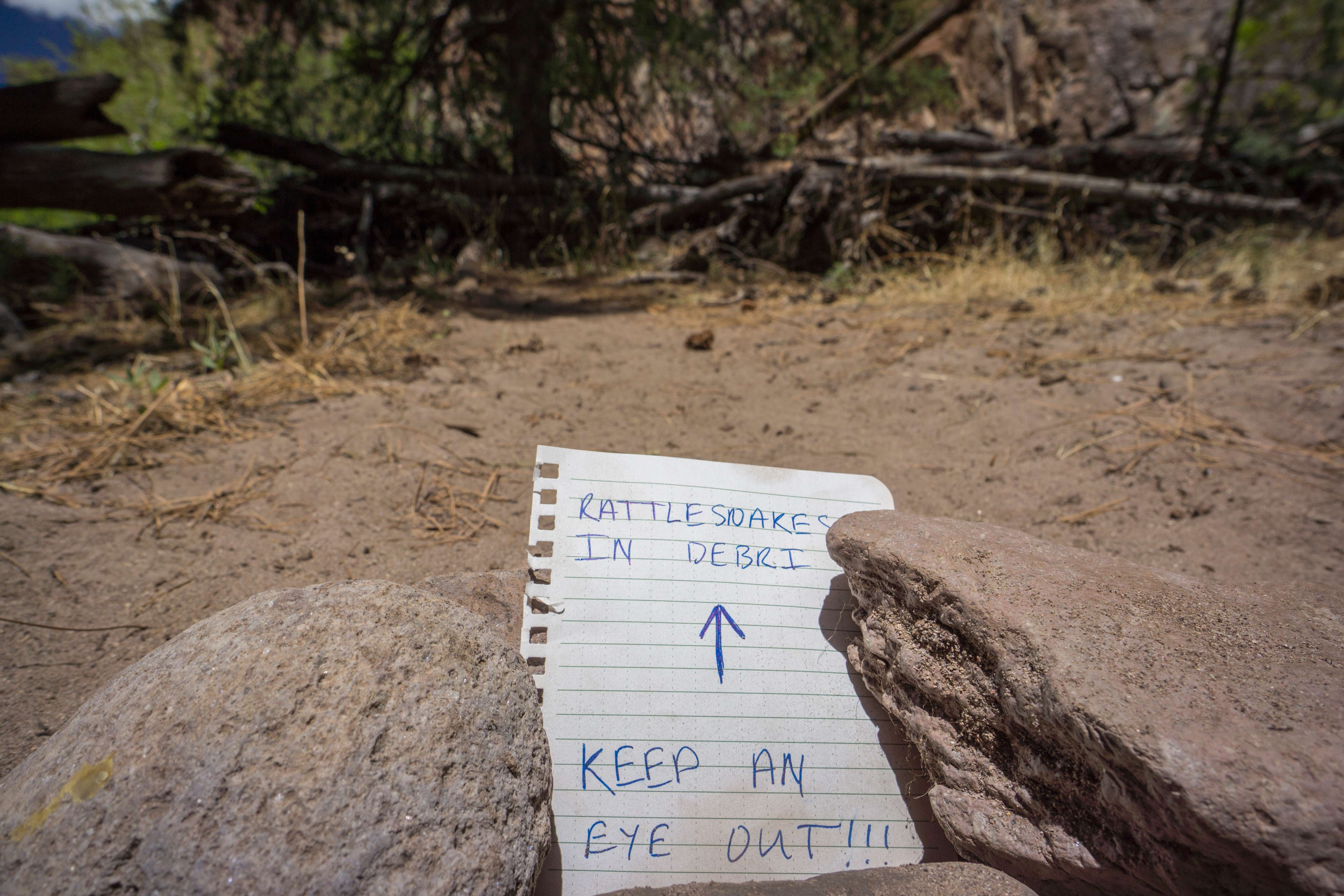 Learn Their Preferred Hiding Spots (Image Credits: Shutterstock)