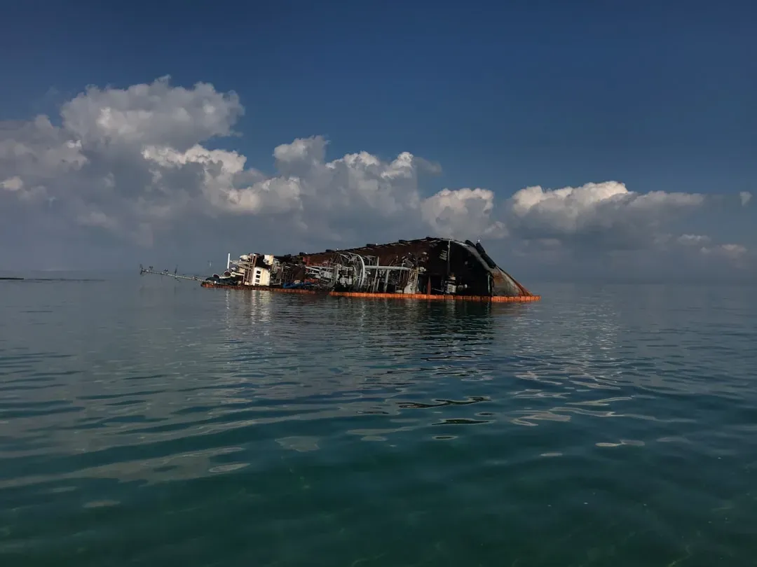 How Big Is This Trend, Really? (Image Credits: Unsplash)