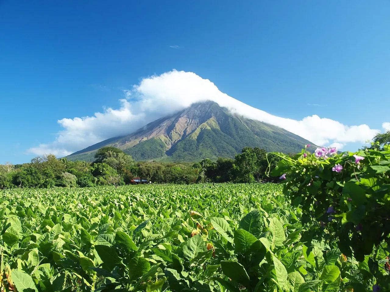 Ometepe Island: A Volcanic Wonder in a Freshwater Lake (Image Credits: Pixabay)